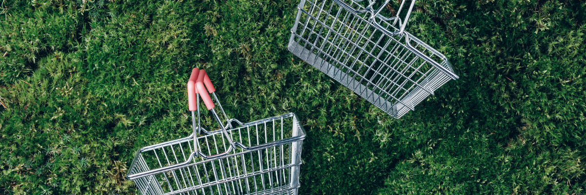 Conscious Consumption: Buy Less, Choose Well