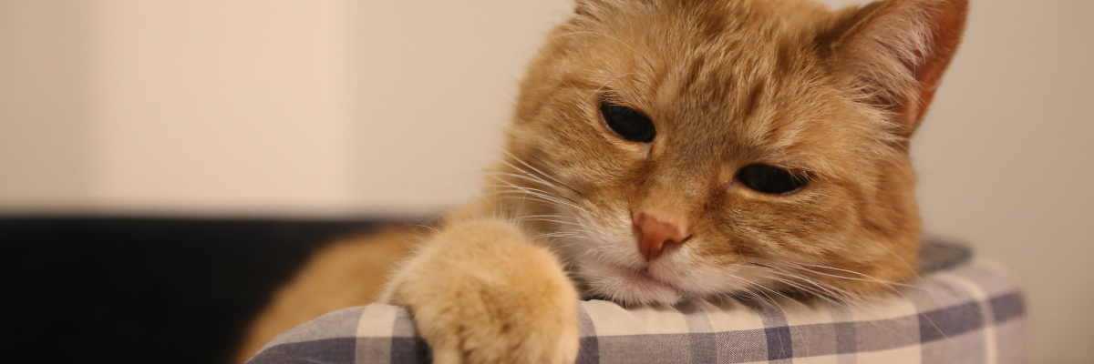 Life Admin: How to Stay on Top of the Boring Stuff