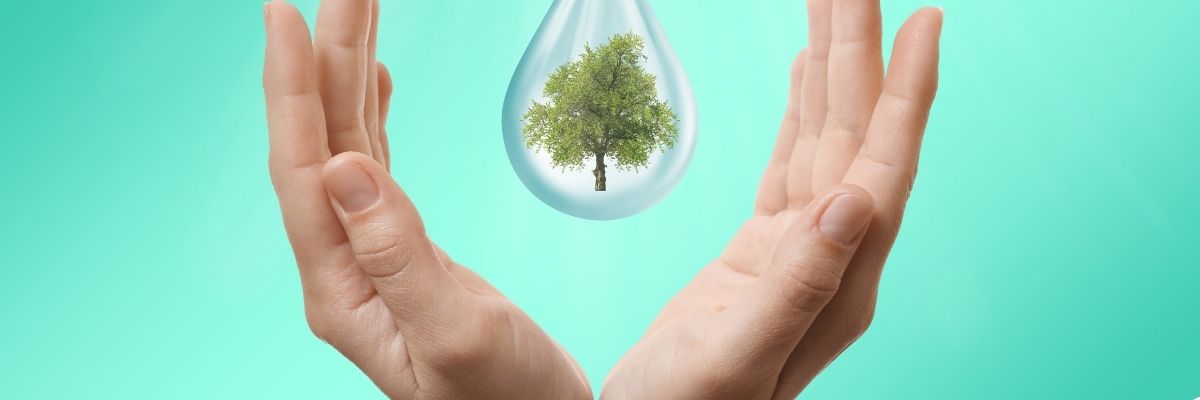 Conscious Consumption